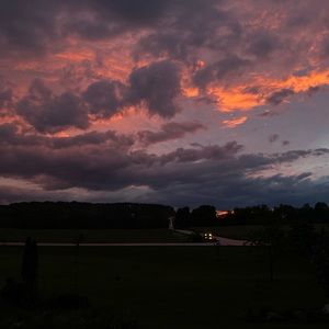 Meet your Posher, Rayna